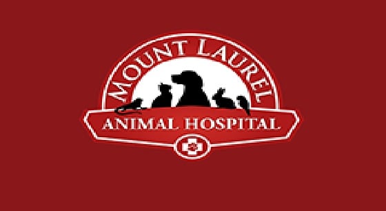 Mount Laurel Animal Hospital Renews Service For 5 Years - USA Phone