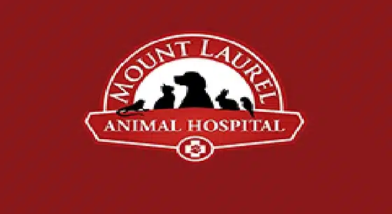 Mt Laurel Animal Hospital Card