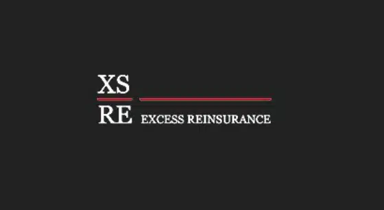 ExcessReinsurance-card